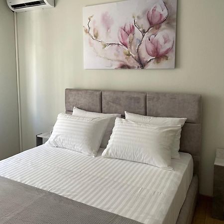 Spacious Apartment Near Panormou Metro Athén Kültér fotó